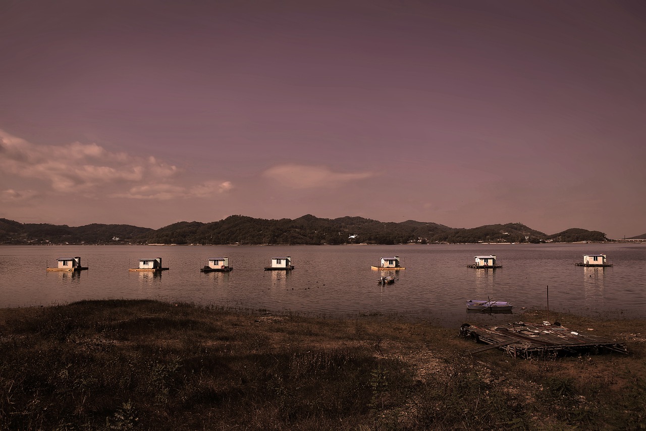 발판좌대