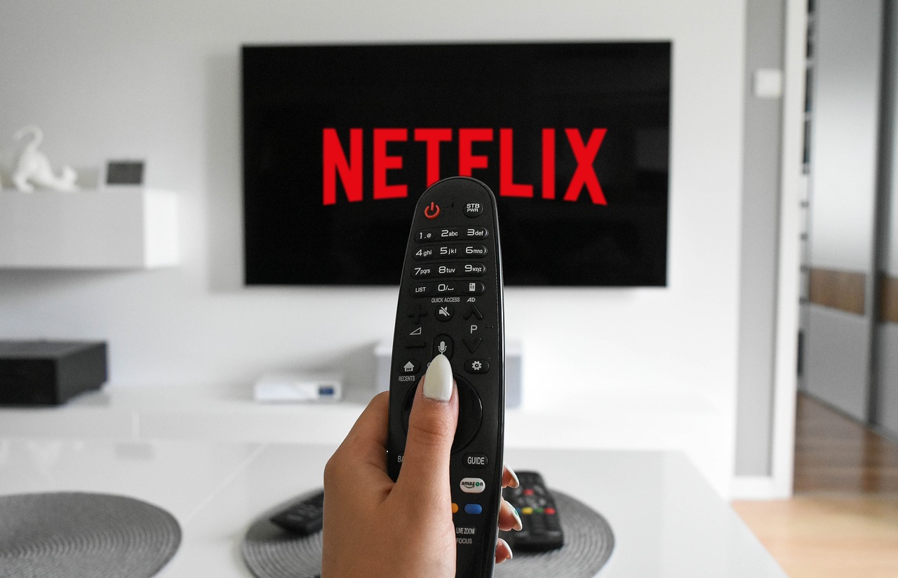 netflix 타이틀 신청과 지혜로운 IT 생활의 팁